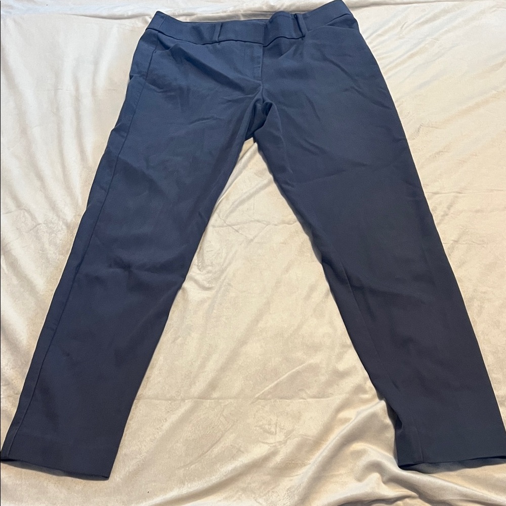 Loft Julie Women’s dress Pants